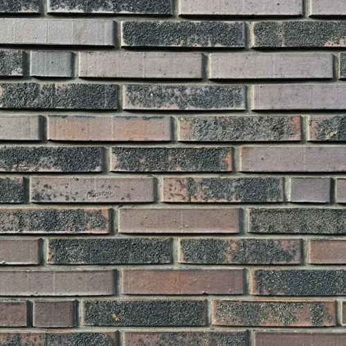 Клинкерный кирпич для фасада 250х120х52 мм, пустотелый сорт. 55